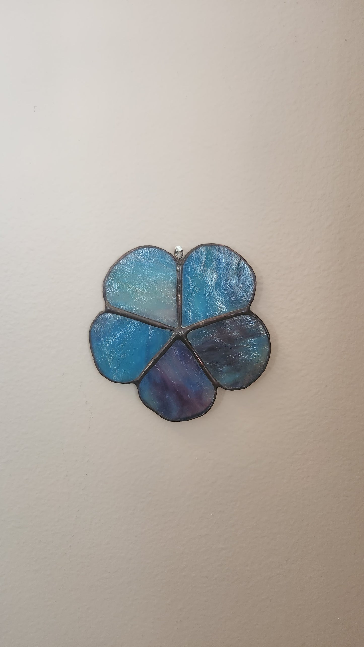 Forget-Me-Not Wallflower