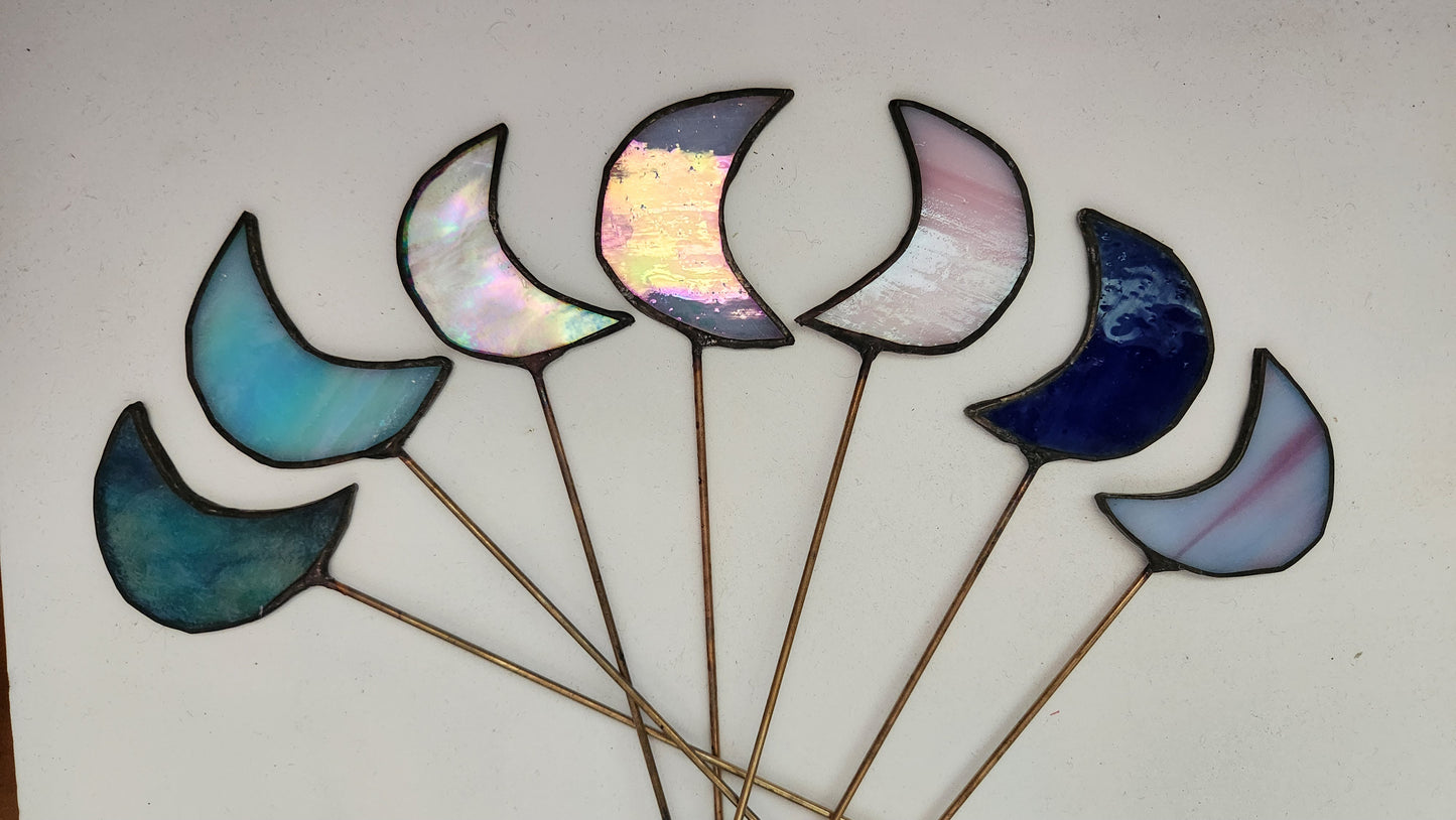 Moon Plant Stakes