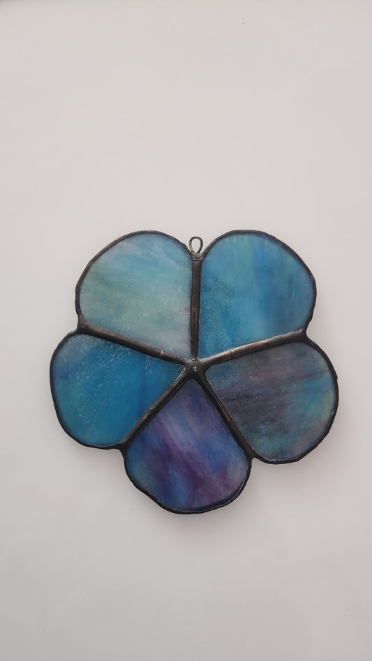 Forget-Me-Not Wallflower