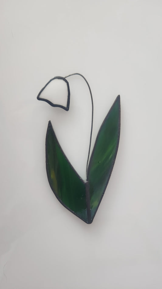 Lily of the Valley Wallflower