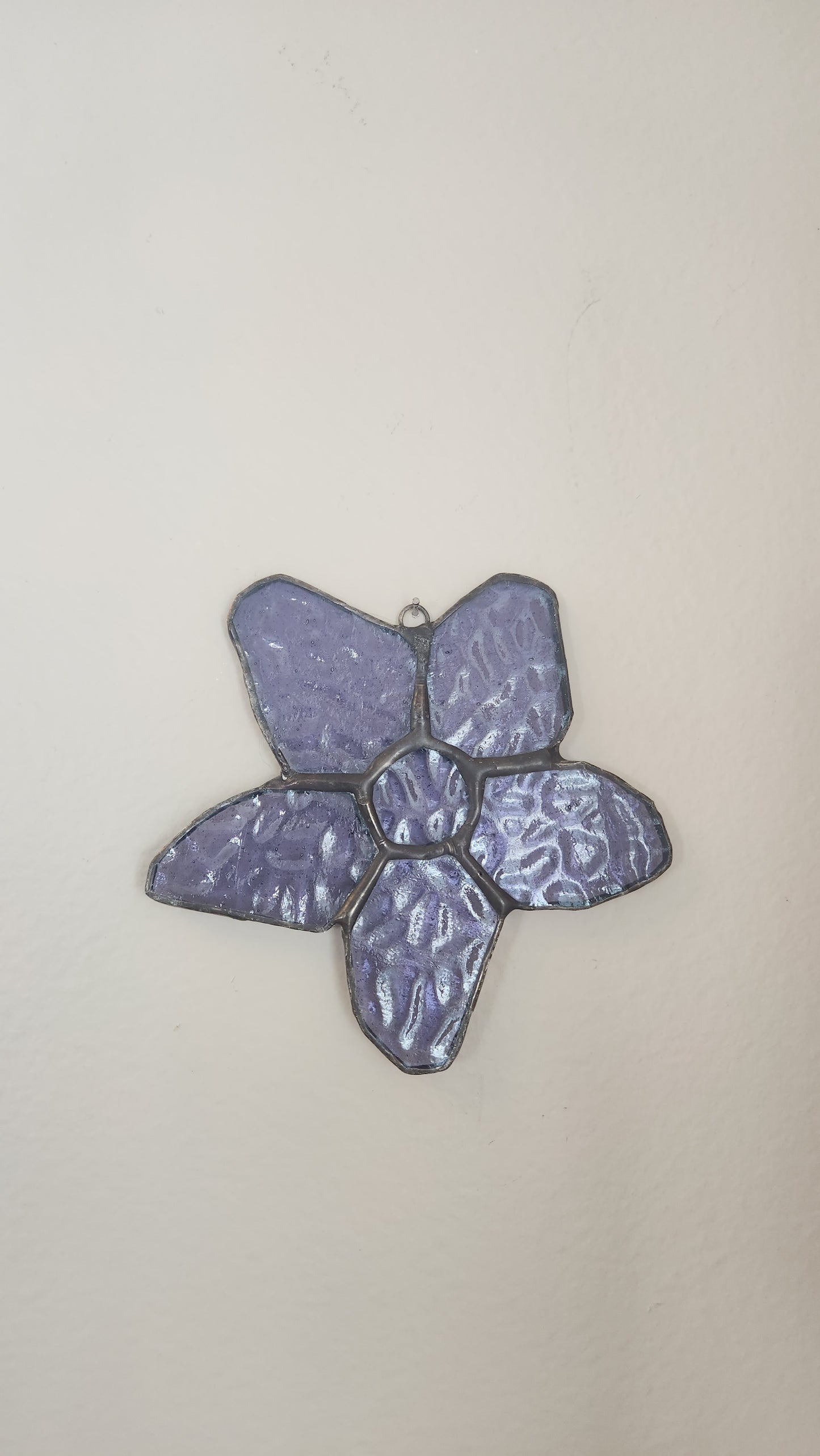 Larkspur Wallflower