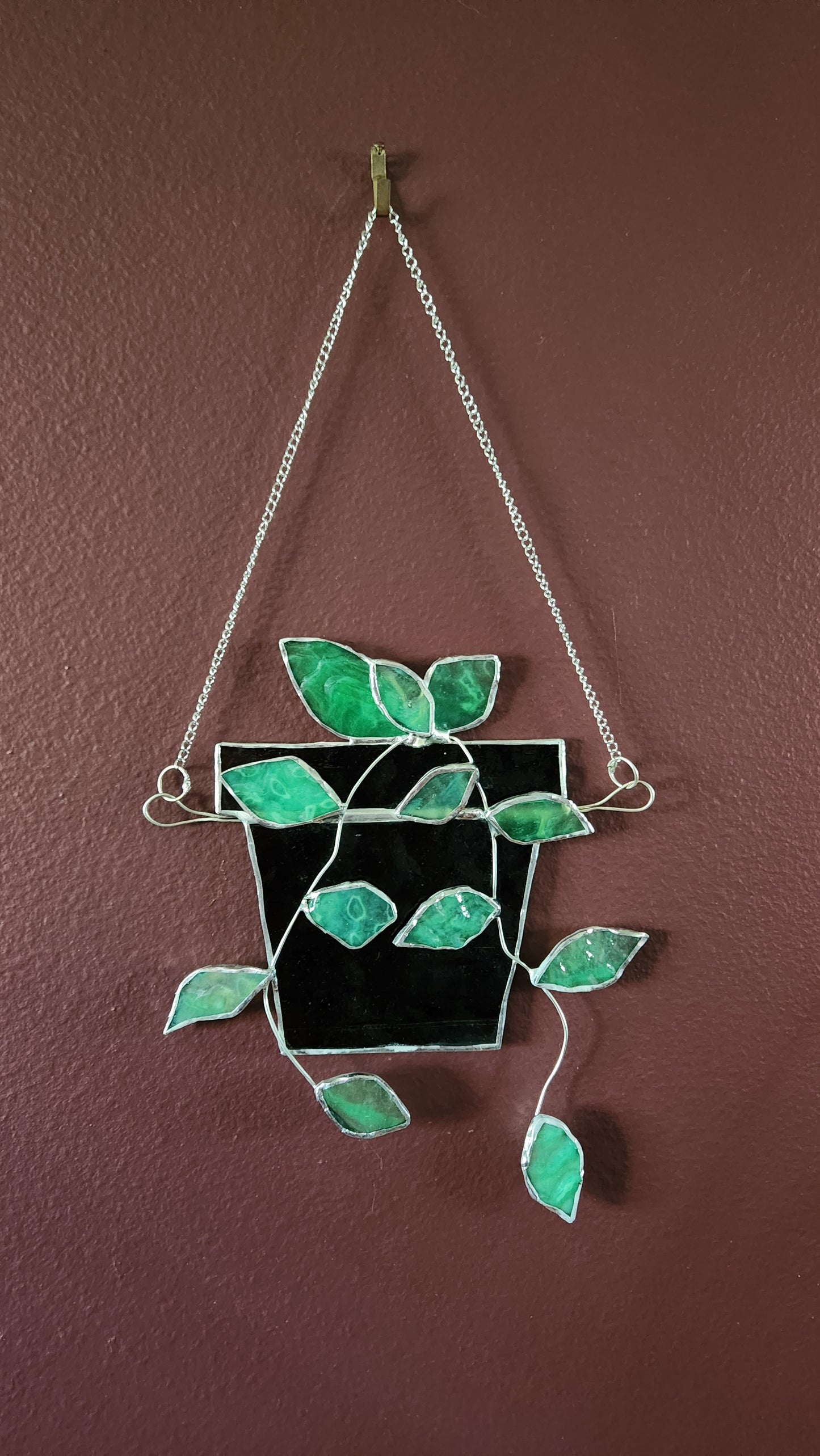 Hanging Pothos Plant