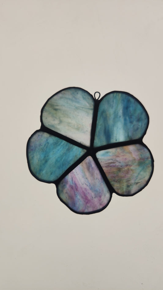 Forget-Me-Not Wallflower