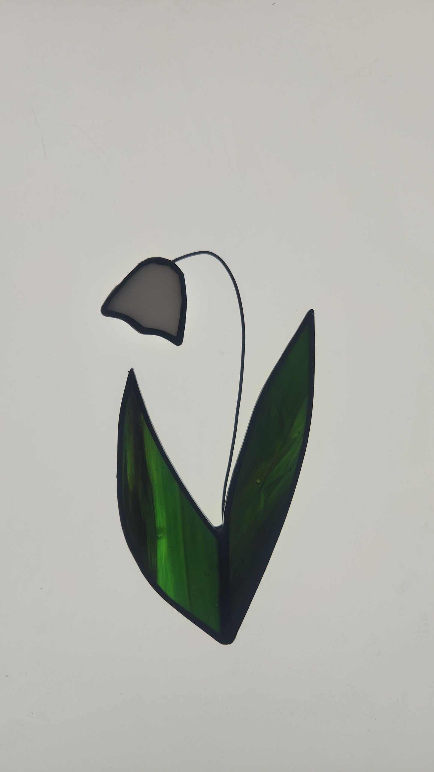 Lily of the Valley Wallflower