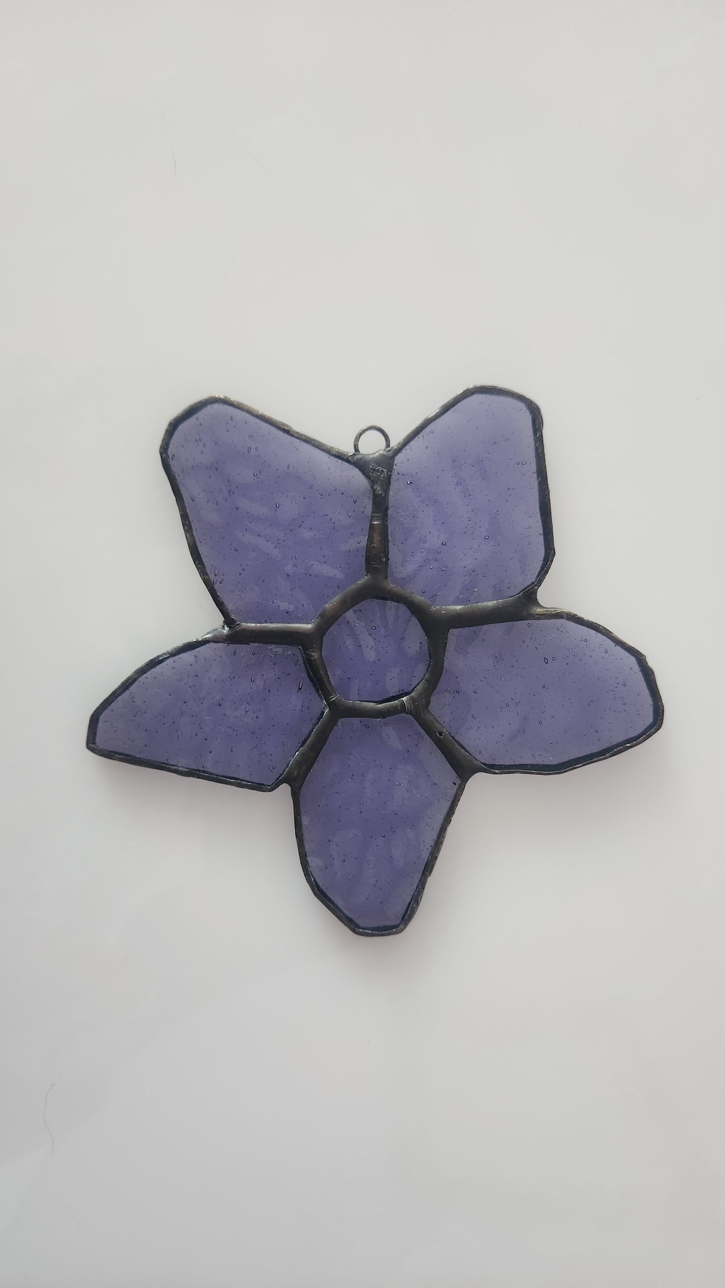 Larkspur Wallflower