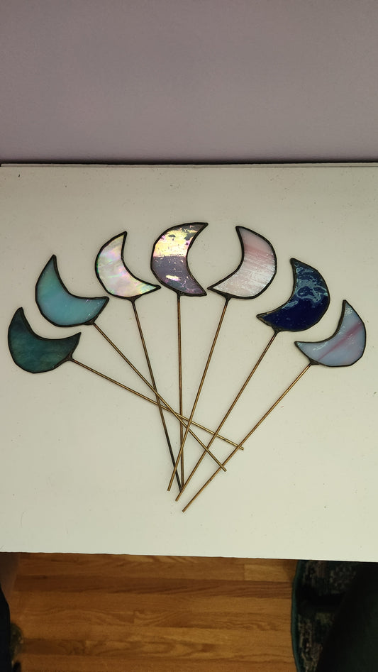 Moon Plant Stakes